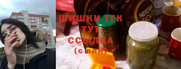 spice Бородино