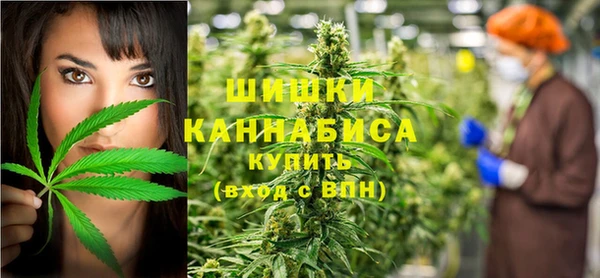 spice Бородино